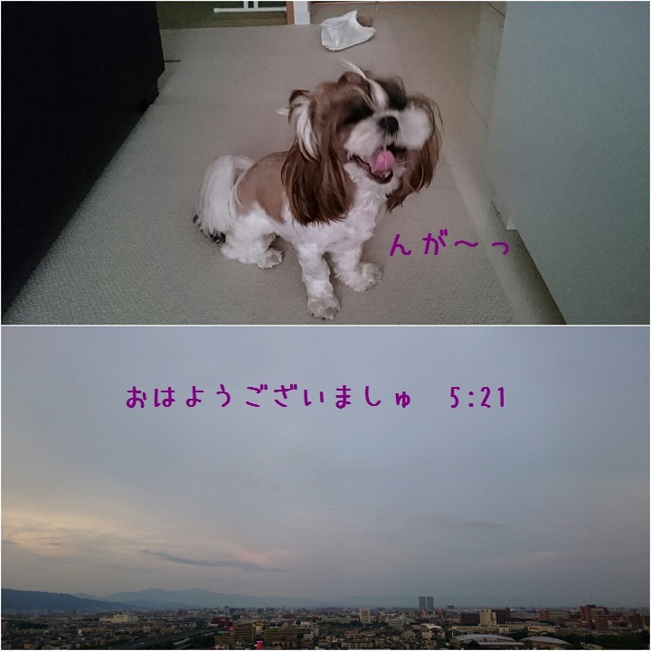 c0363378_15340719.jpg