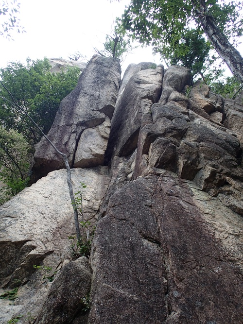 f0223480_22301555.jpg