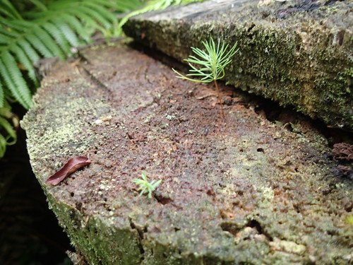 f0223480_2230329.jpg
