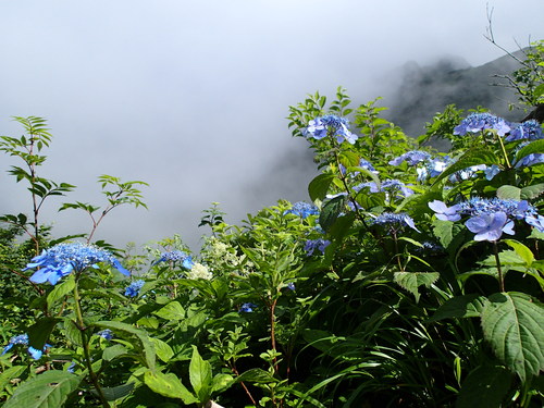 f0223480_22414993.jpg