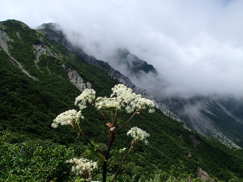 f0223480_2242342.jpg