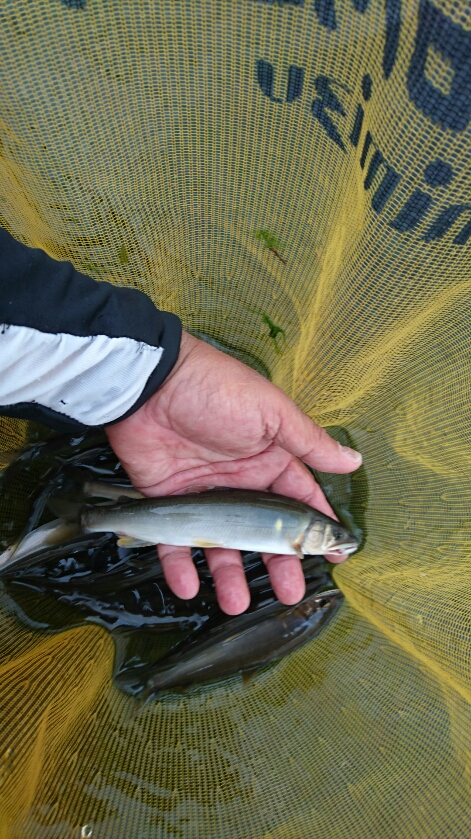 c0176183_1529738.jpg
