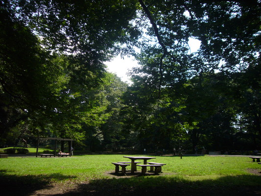 a0141884_21554531.jpg