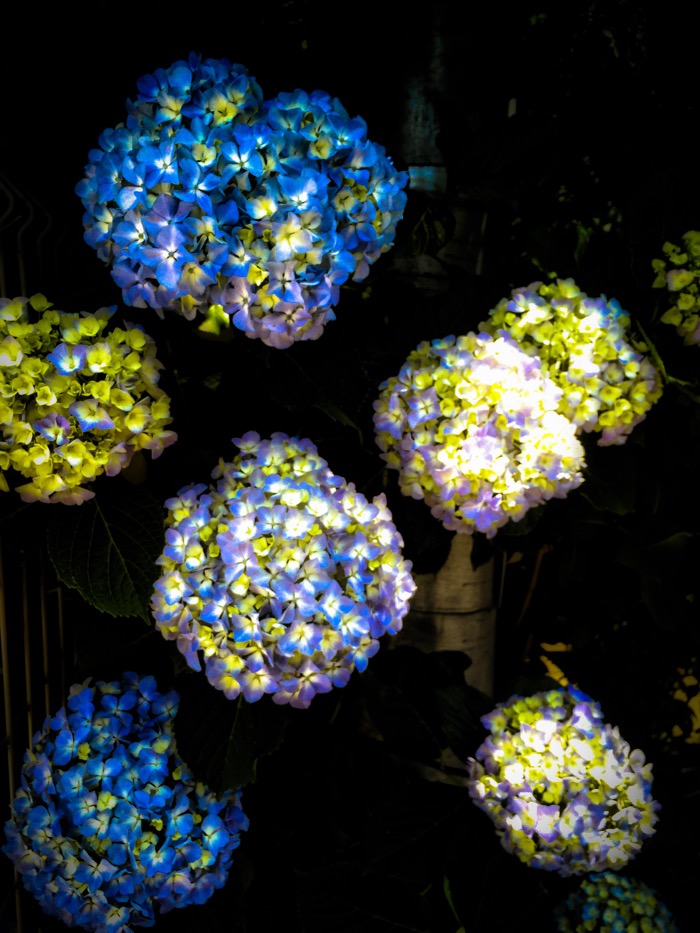 a0236687_9305276.jpg