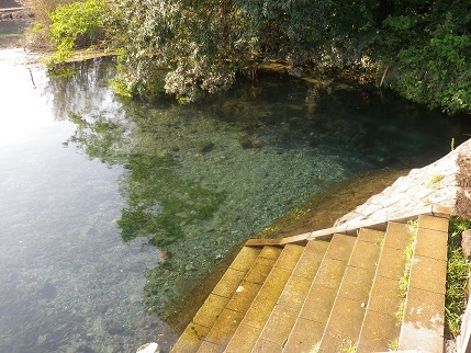 e0048994_04200609.jpg