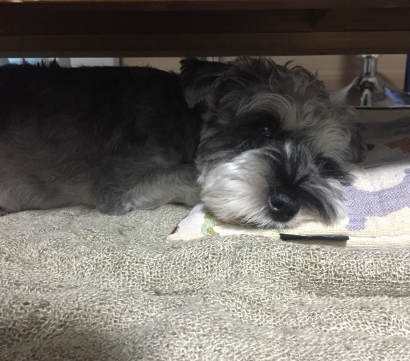 b0188998_21532067.jpeg