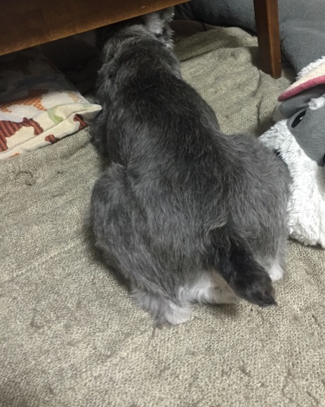 b0188998_21532964.jpeg