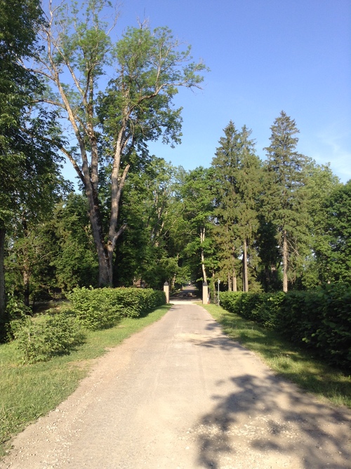 b0101300_1592938.jpg