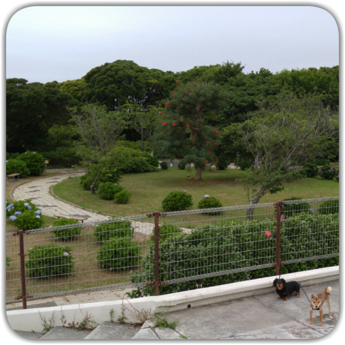 d0347205_14114703.jpg