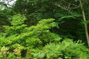 b0200310_92845.jpg