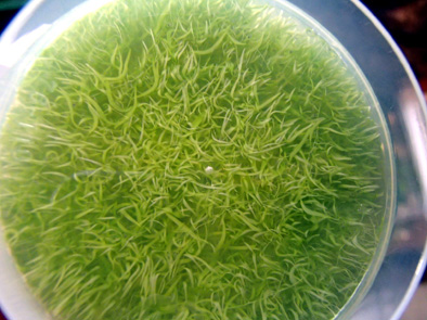 d0212519_2240564.jpg