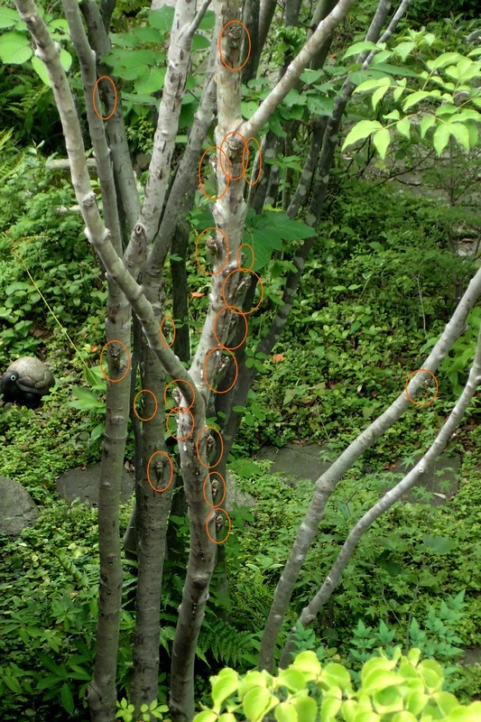c0369423_21570100.jpg