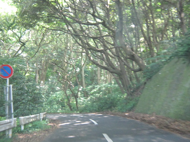 d0162225_21551262.jpg