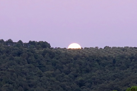 f0234936_2115480.jpg