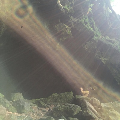 d0194741_2345728.jpg