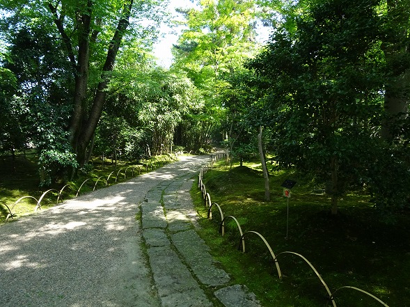 b0299042_11102999.jpg