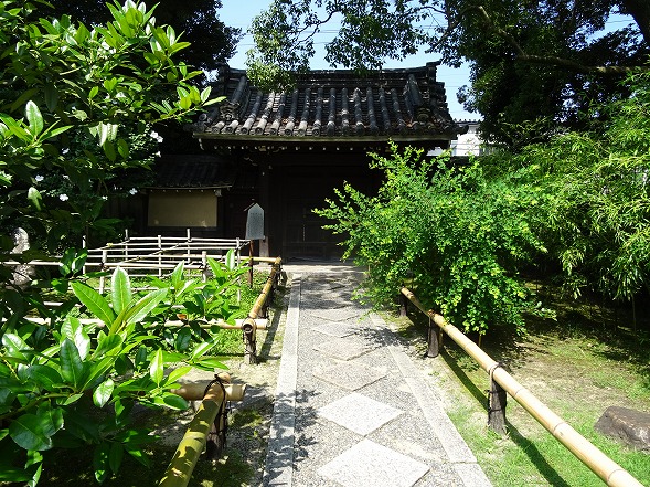 b0299042_1110328.jpg