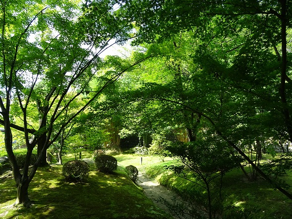 b0299042_1183185.jpg