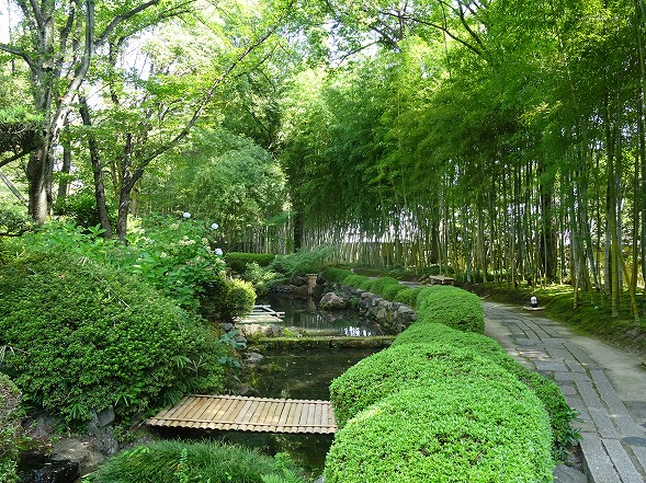 b0299042_1184933.jpg