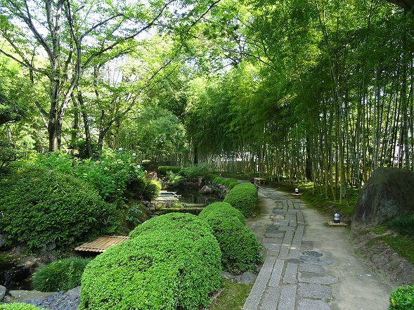 b0299042_1185568.jpg