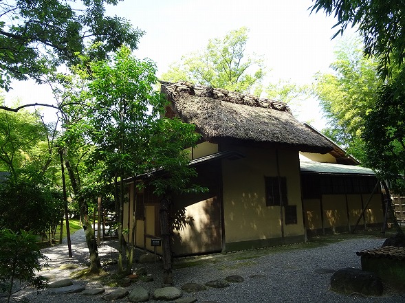 b0299042_1191586.jpg