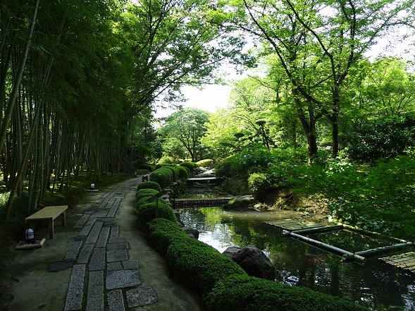 b0299042_119247.jpg