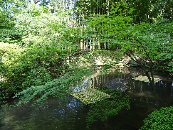 b0299042_119889.jpg
