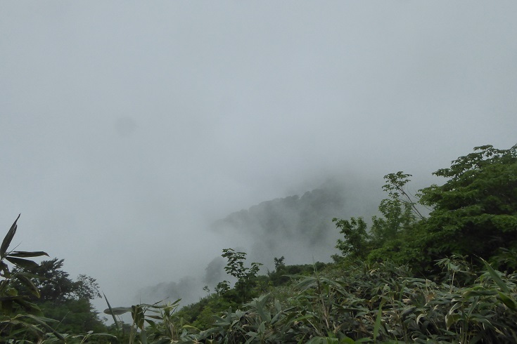 d0288144_15072109.jpg