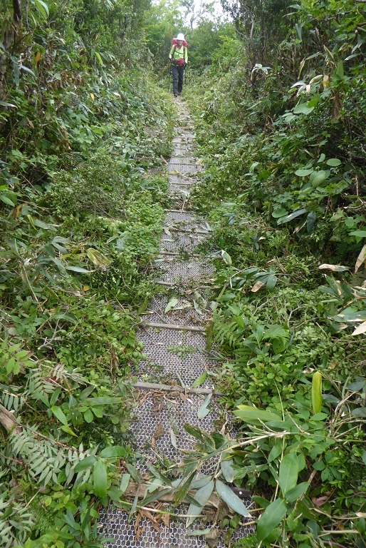 d0288144_15072718.jpg