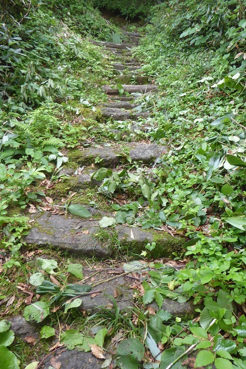 d0288144_15073165.jpg