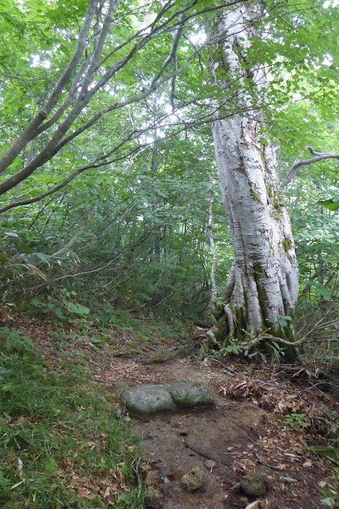 d0288144_15080260.jpg