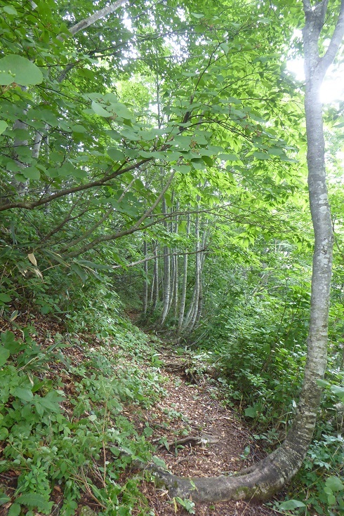 d0288144_15081839.jpg