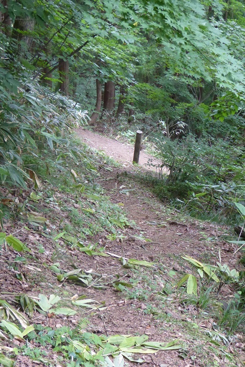 d0288144_15161669.jpg