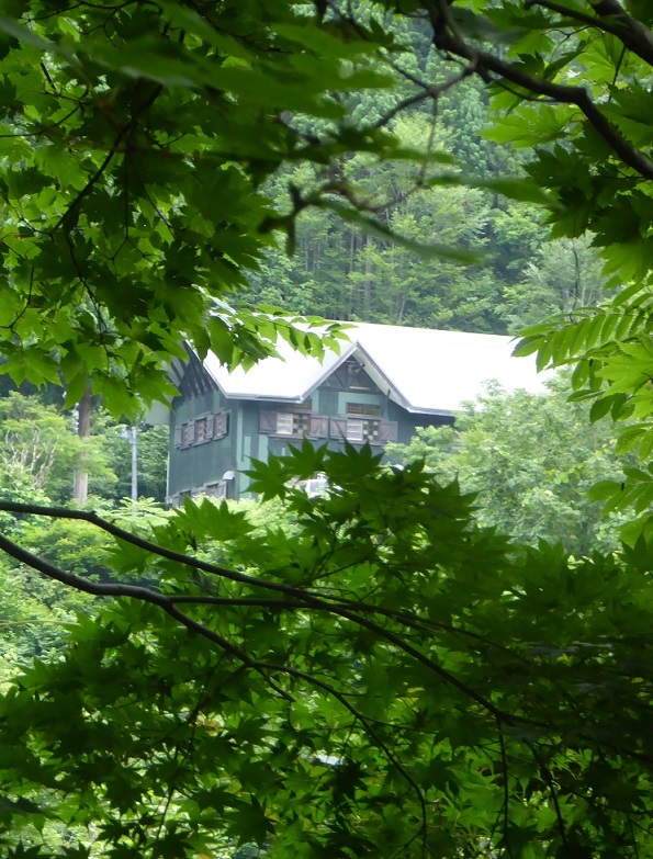 d0288144_15162141.jpg