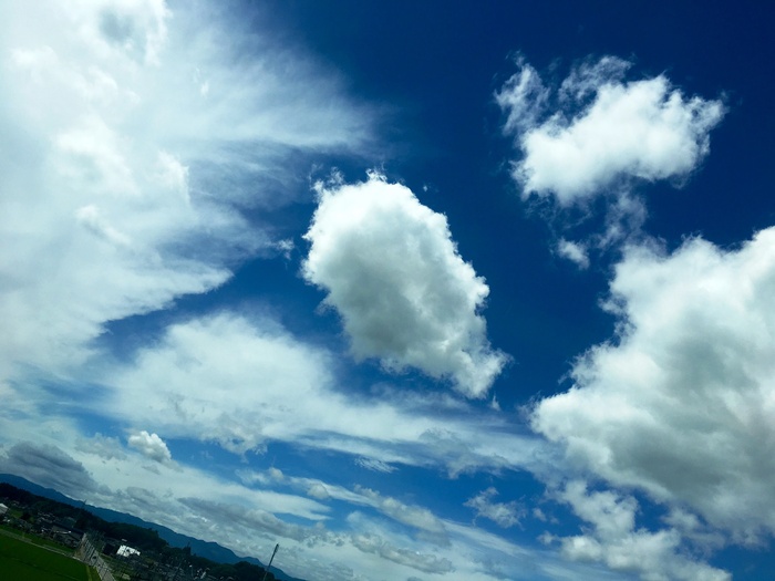a0095746_1202621.jpg