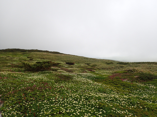 f0214649_172057.jpg
