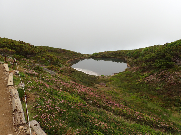 f0214649_1723298.jpg