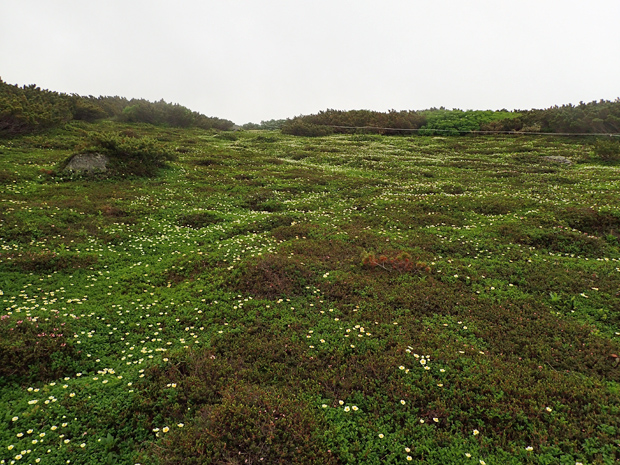f0214649_17233923.jpg