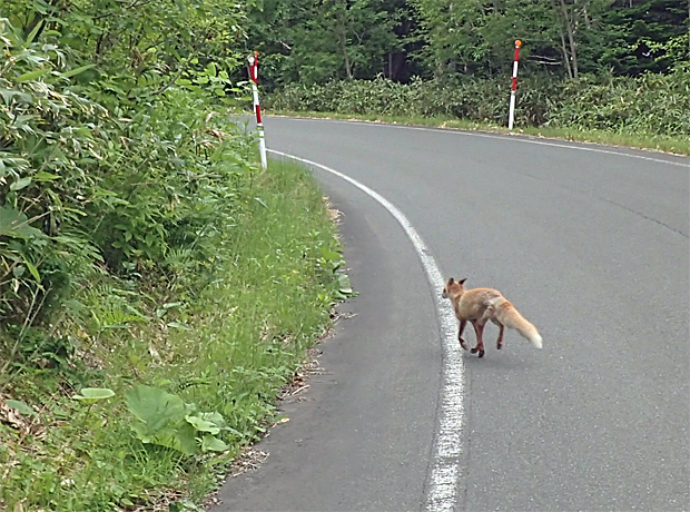 f0214649_17305276.jpg