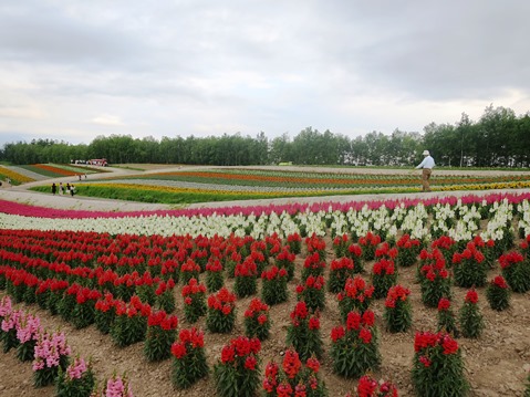 f0202151_1540358.jpg
