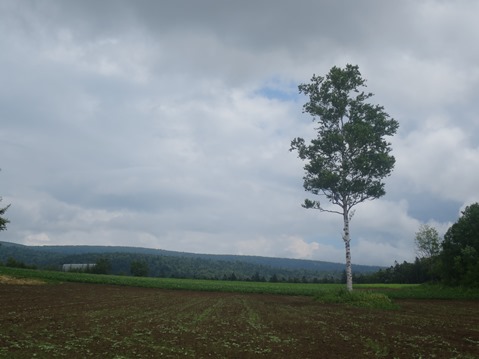 f0202151_15413352.jpg