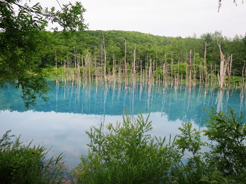 f0202151_1662546.jpg
