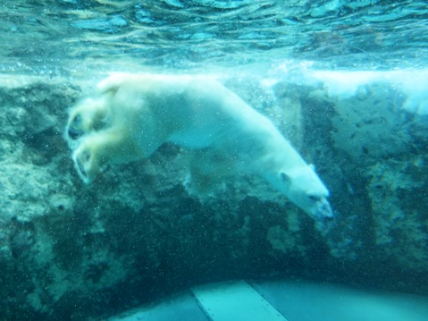 f0202151_19551097.jpg
