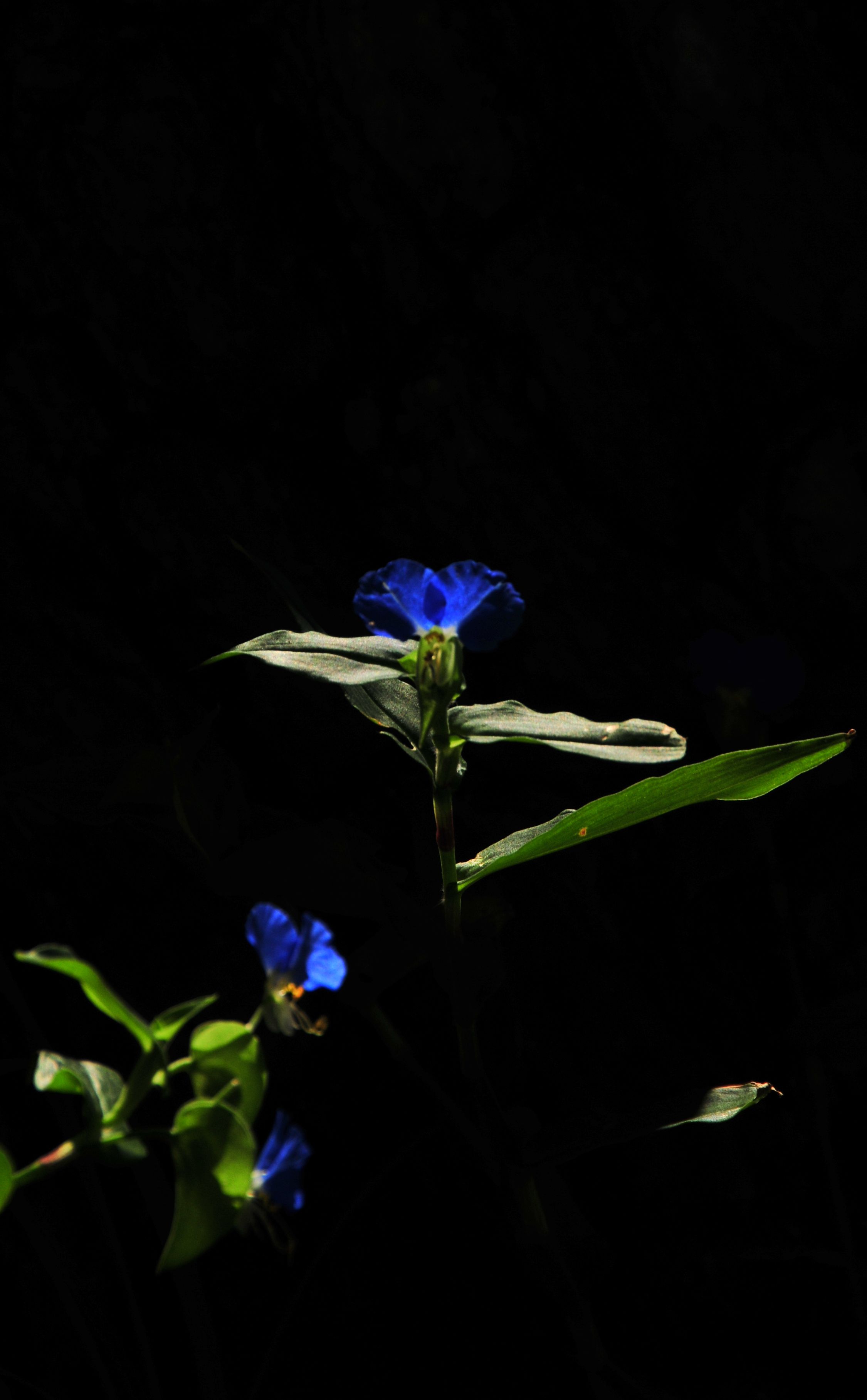 b0243152_05845.jpg
