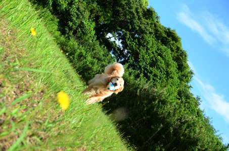 f0044853_104979.jpg