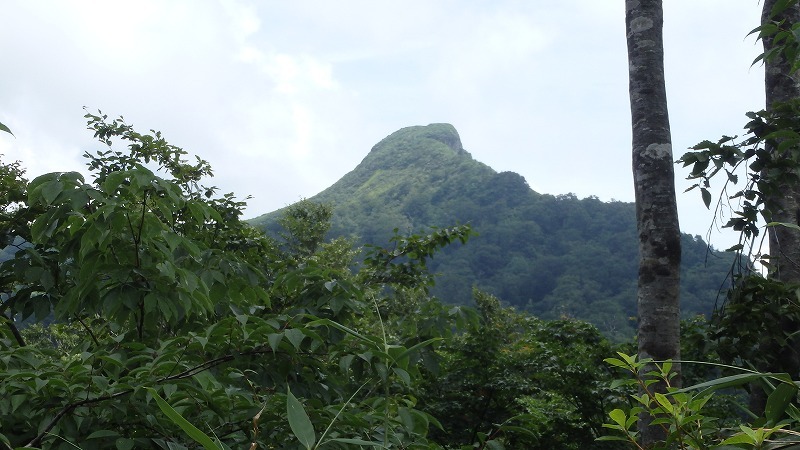 c0097754_15351602.jpg