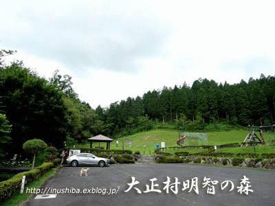 a0286855_11281949.gif