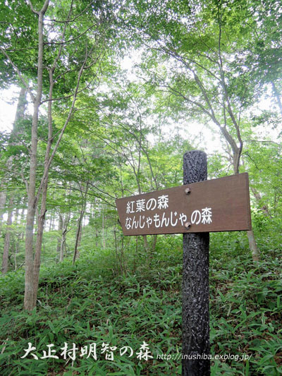 a0286855_11285215.jpg