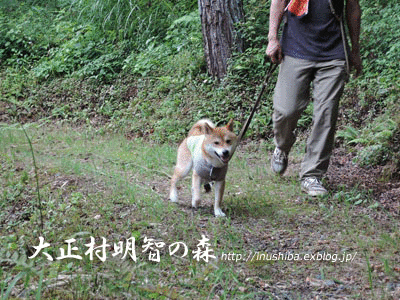 a0286855_11285617.gif