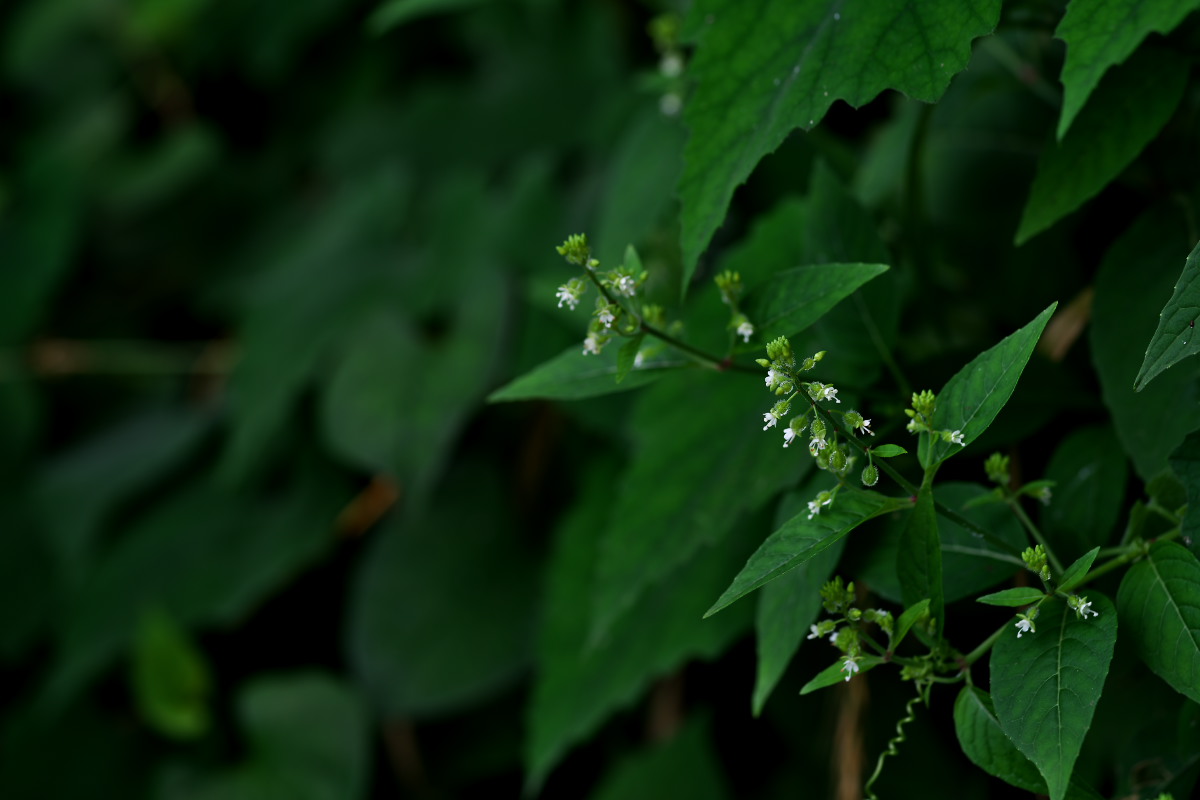 a0083081_1783049.jpg